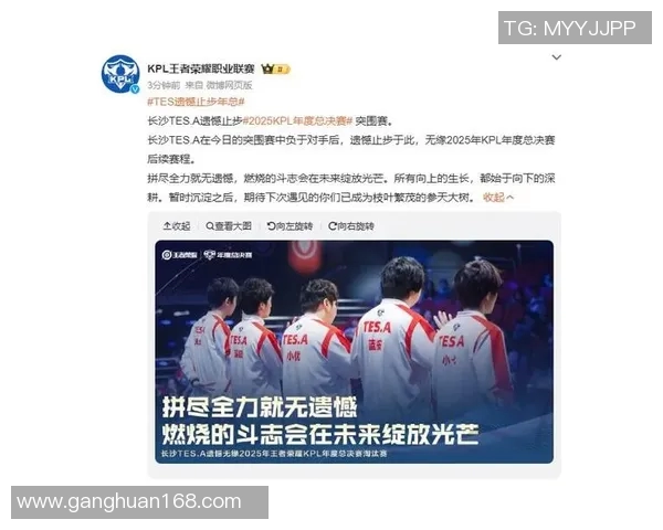 电竞新闻深入解析王者荣耀TES战队的团队协作与默契配合之道